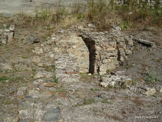 ifi-13-08-2020 08